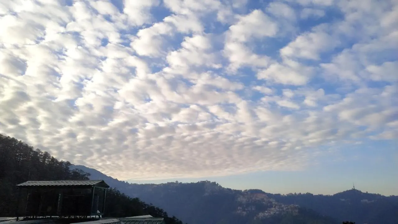Homestay Hill View Regency Best Budget Hotel Near Mall Road Shimla