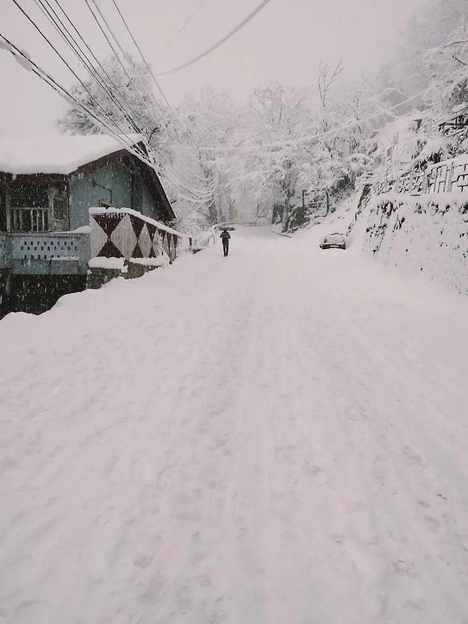 Homestay Hill View Regency Best Budget Hotel Near Mall Road Shimla
