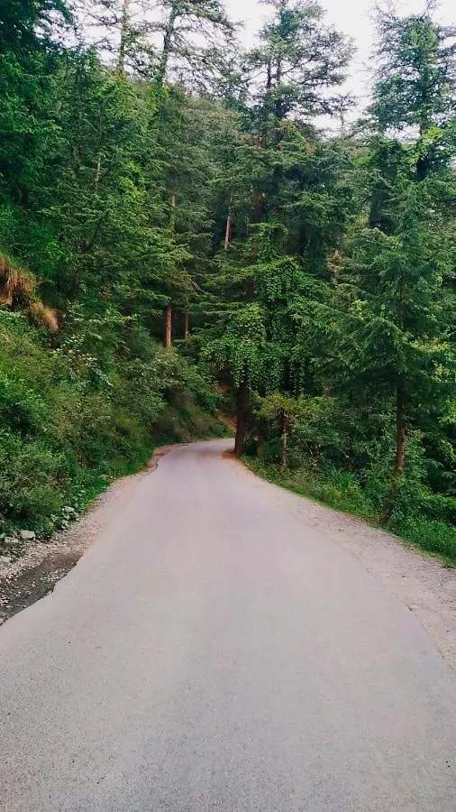 Homestay Hill View Regency Best Budget Hotel Near Mall Road Shimla India