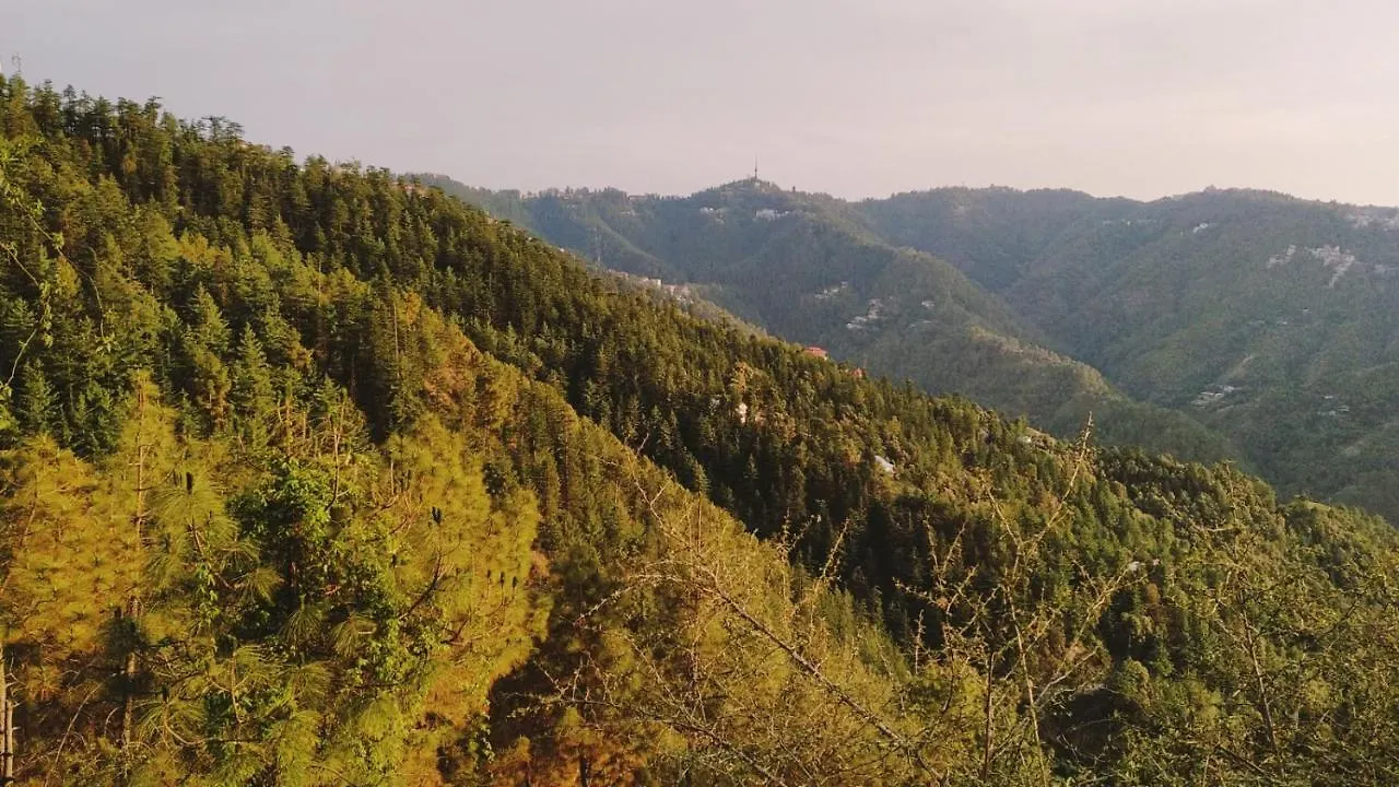 Hill View Regency Best Budget Hotel Near Mall Road Shimla India