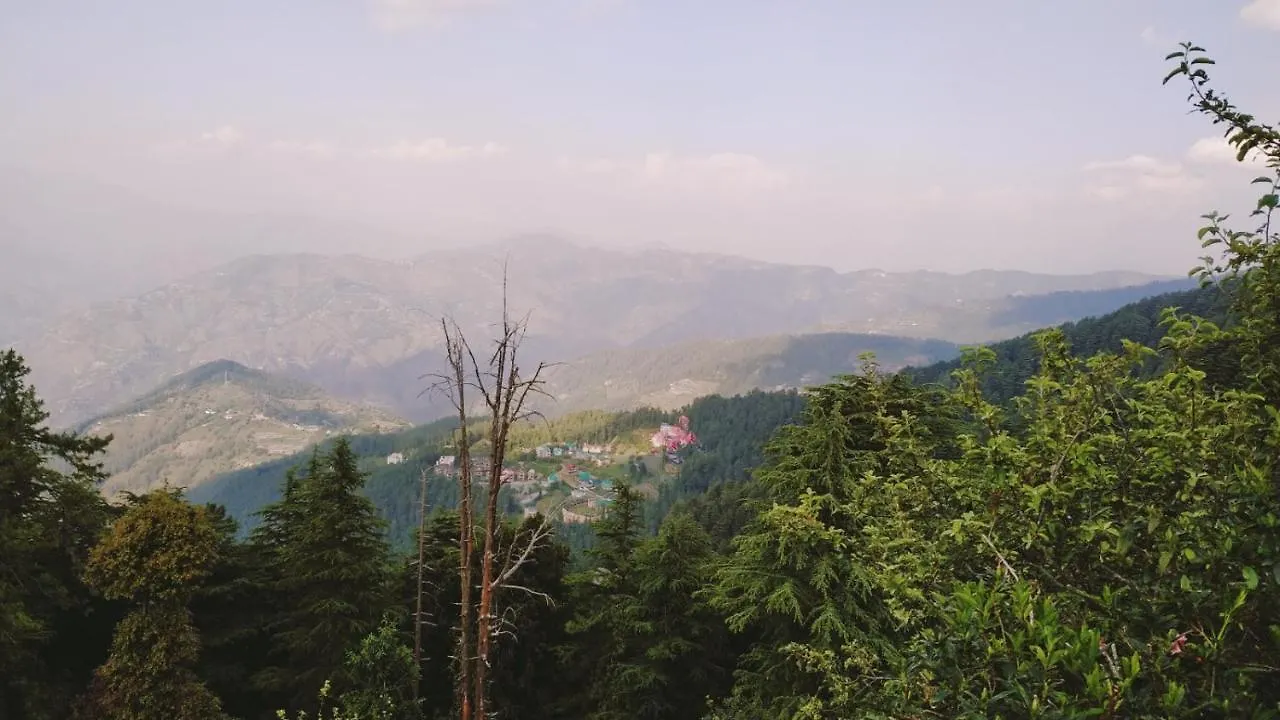 Homestay Hill View Regency Best Budget Hotel Near Mall Road Shimla